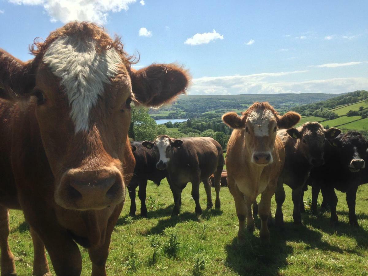 Brinsley Barn Apartman Blagdon Kültér fotó